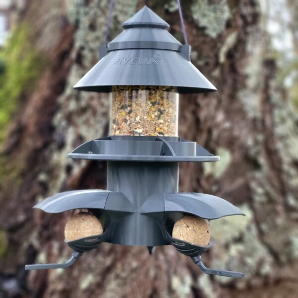 tour mangeoire pour oiseau evena noir