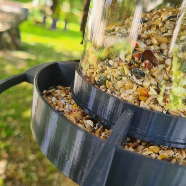 grain dans une mangeoire à oiseaux evena